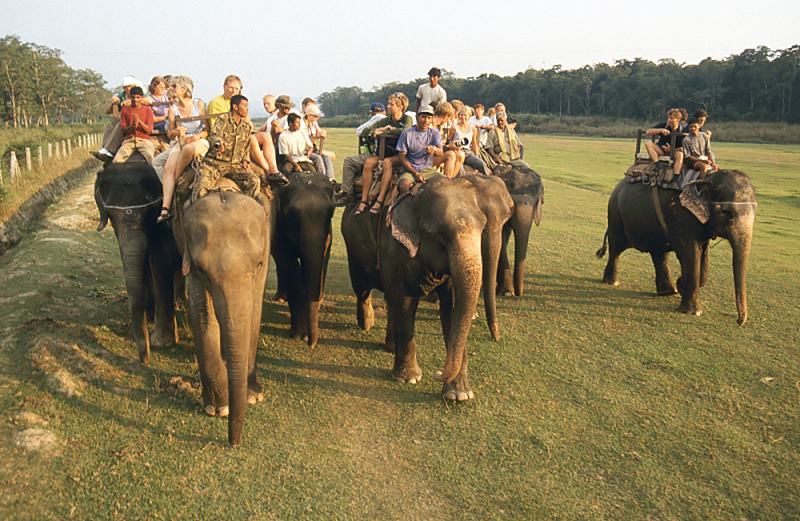 462a_Met olifanten op stap, Chitwan.jpg